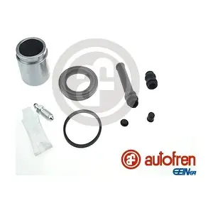 D42070C AUTOFREN SEINSA