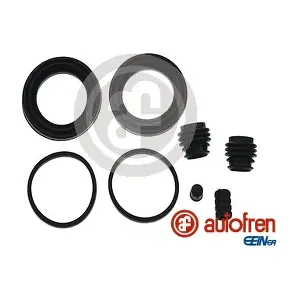 D42179 AUTOFREN SEINSA