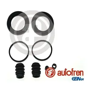 D42185 AUTOFREN SEINSA