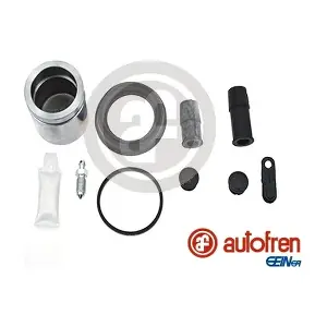 D42028C AUTOFREN SEINSA