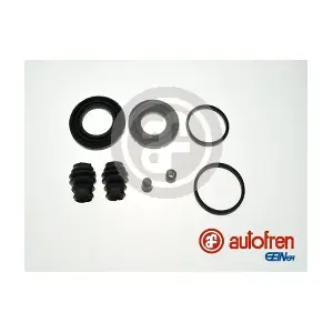 D41919 AUTOFREN SEINSA