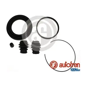 D43098 AUTOFREN SEINSA