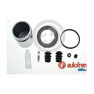 D42527C AUTOFREN SEINSA