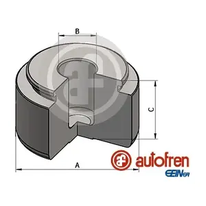 D025749 AUTOFREN SEINSA