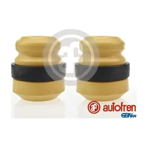D5040 AUTOFREN SEINSA