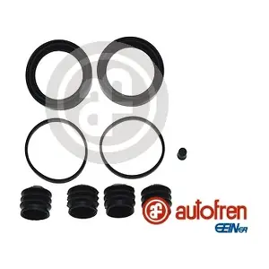 D41725 AUTOFREN SEINSA