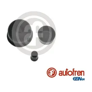 D3021 AUTOFREN SEINSA