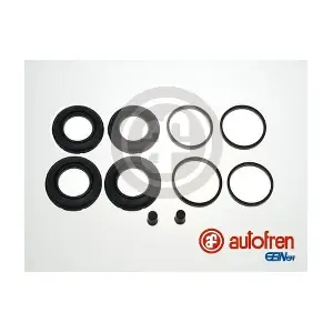 D43010 AUTOFREN SEINSA