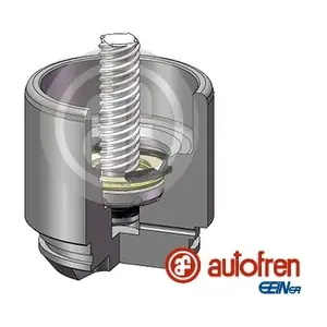 AUTOFREN SEINSA D025691RK