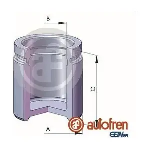 D025382 AUTOFREN SEINSA