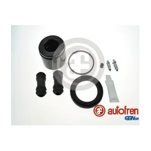 D42066C AUTOFREN SEINSA