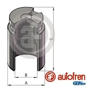 D025716 AUTOFREN SEINSA