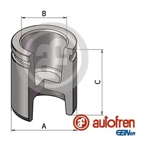 D025784 AUTOFREN SEINSA