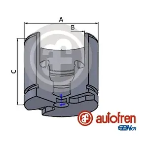 D025256 AUTOFREN SEINSA
