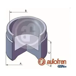 D025438 AUTOFREN SEINSA