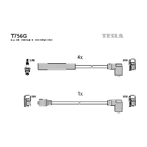 T756G TESLA