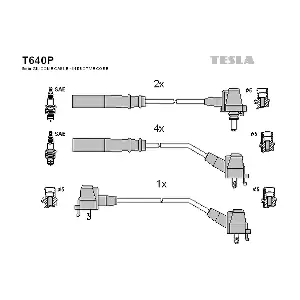 T640P TESLA
