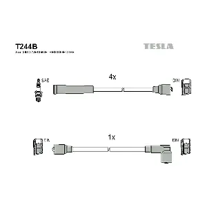 T244B TESLA