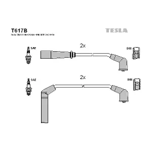 TESLA T617B