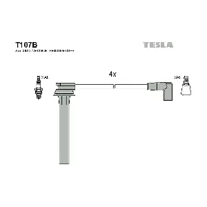 T 107 B TESLA