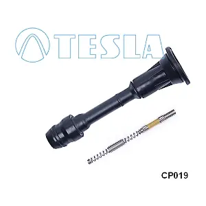 CP019 TESLA