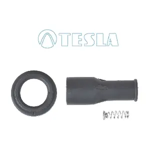 CP079 TESLA