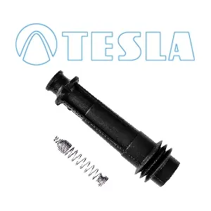 TESLA CP071