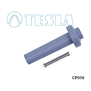 CP058 TESLA