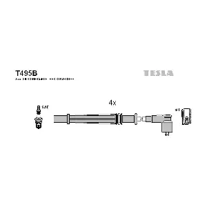 T495B TESLA