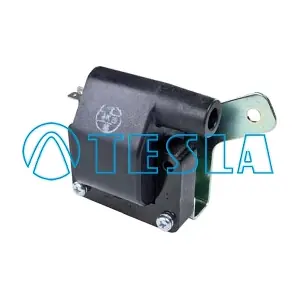 CL231 TESLA