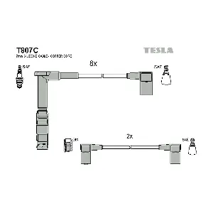 TESLA T807C