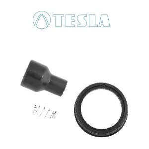 CP093 TESLA