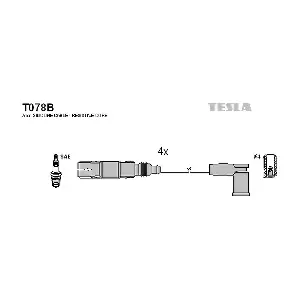 T078B TESLA