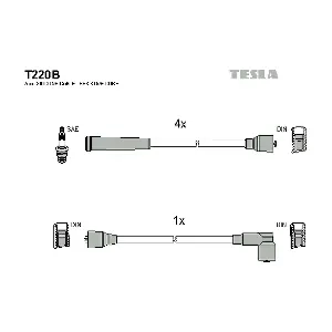 T220B TESLA