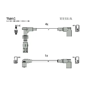 TESLA T591C