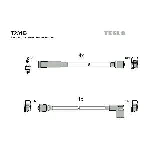 T231B TESLA
