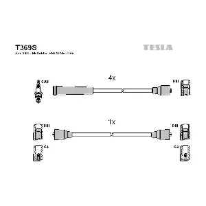 T369S TESLA