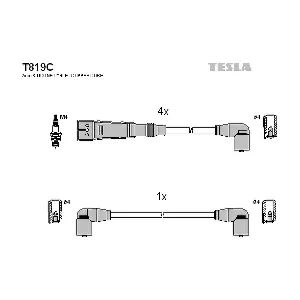 TESLA T 819 C