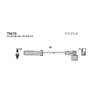 TESLA T867S
