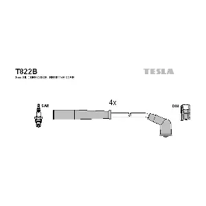 T822B TESLA