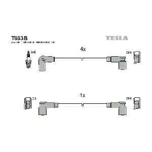 T663B TESLA