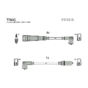 T 703 C TESLA