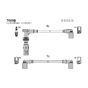 T089B TESLA