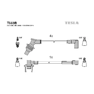 T669B TESLA