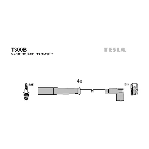 T300B TESLA