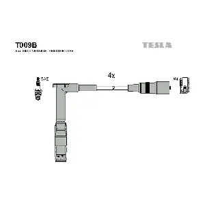 T009B TESLA