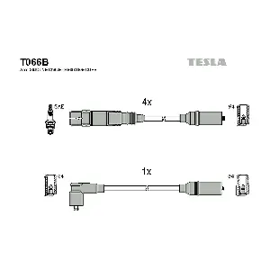 T066B TESLA