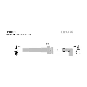 T106S TESLA
