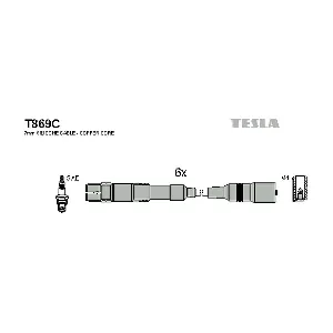 T869C TESLA