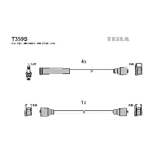 T359S TESLA